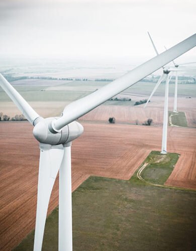 خدمات النظافة لمنتجع شاطئ الراحة