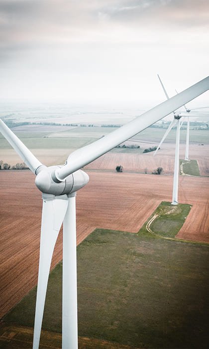 خدمات النظافة لمنتجع شاطئ الراحة